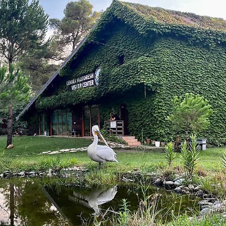 H&A Guest House Divjake Buitenkant foto