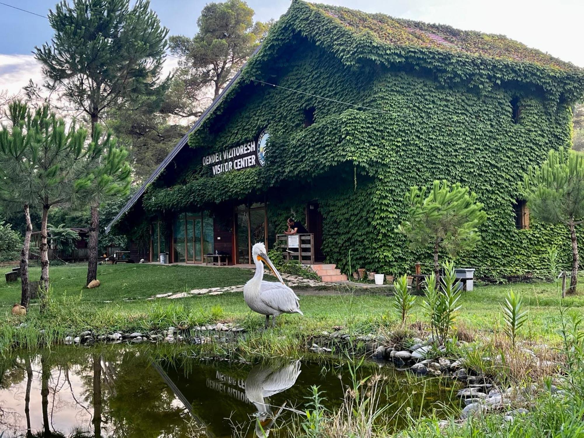 H&A Guest House Divjake Buitenkant foto